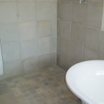 Shower 2