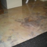 Screed Floor