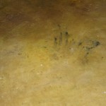 Screed Floor 4