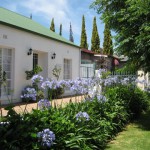 Beautiful Home
